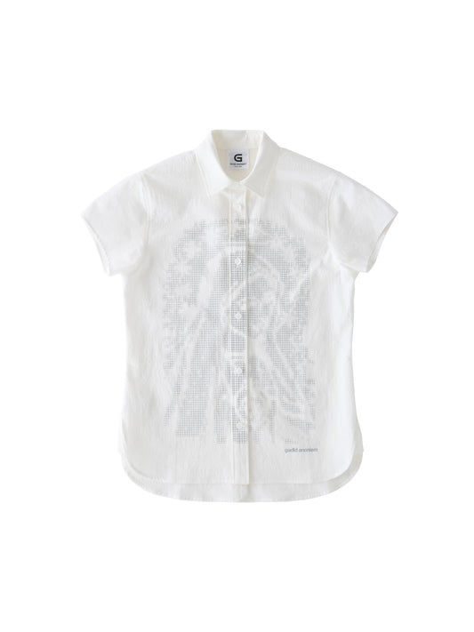 color:WHITE