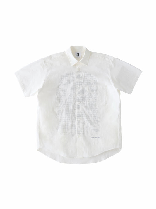color:WHITE