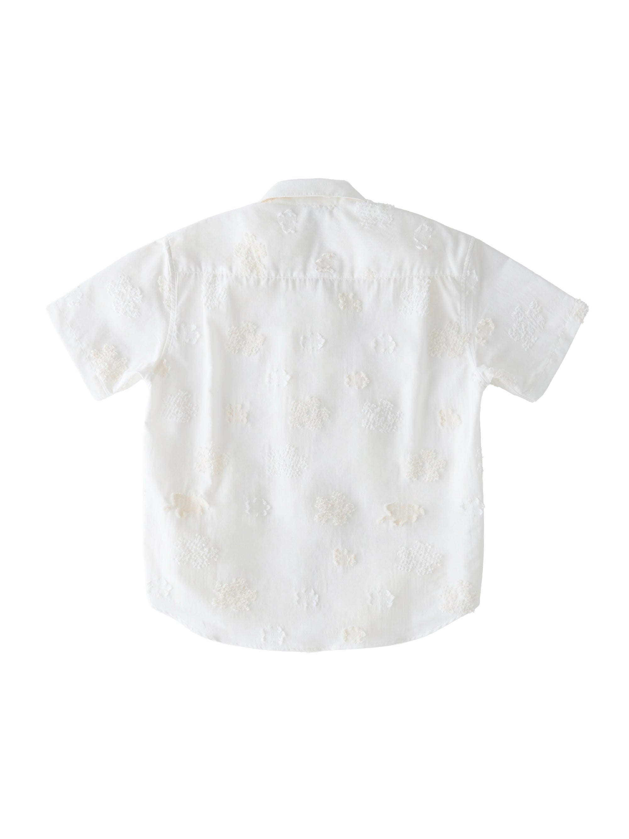 color:WHITE